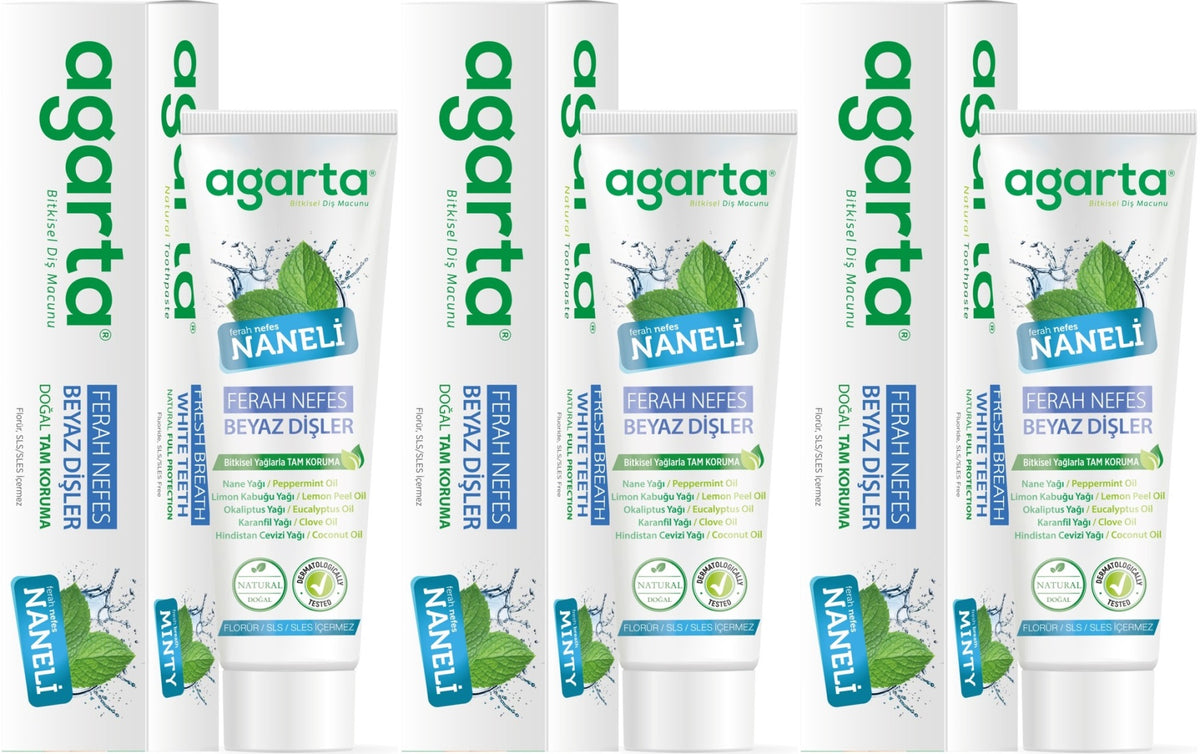 Agarta Doğal Diş Macunu 100ML Naneli (3 Lü Set)