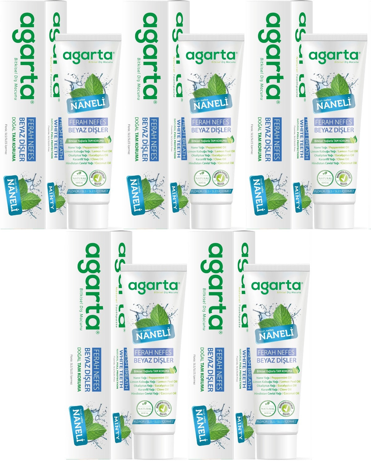 Agarta Doğal Diş Macunu 100ML Naneli (5 Li Set)