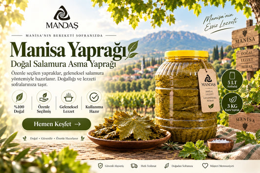 Mandaş İnce Yaprak Sarımlı Asma Üzüm Yaprağı 5 LT (1 BİDON) 2026 Sezon